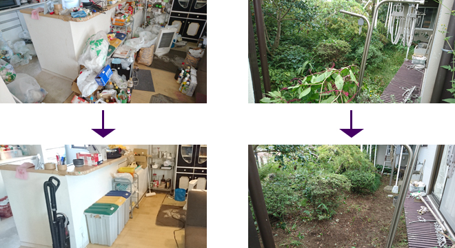 台所ゴミ整理+庭の雑草取り